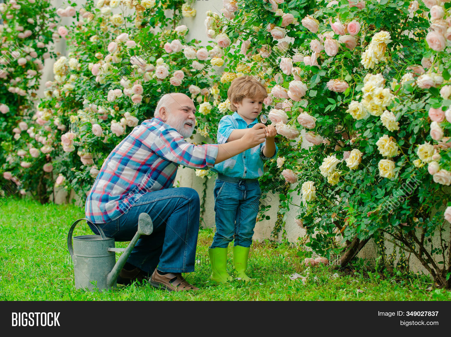 In the garden картинки для детей. Огород для детей. Огород с грядками для детей. Огород картинка для детей. Дети и природа.