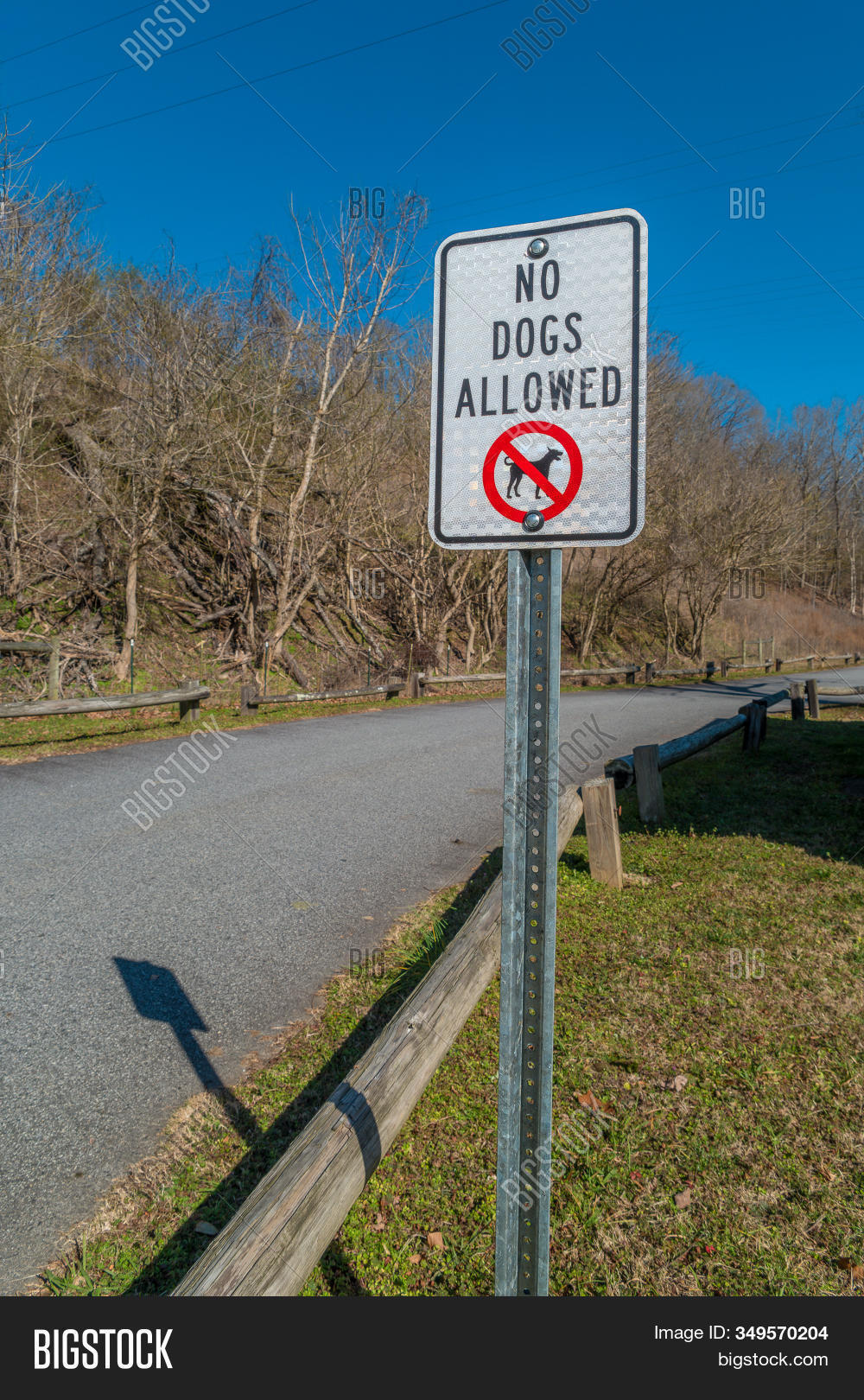 Entrance Park No Dogs Image & Photo (Free Trial) Bigstock
