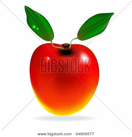 Rød Mango