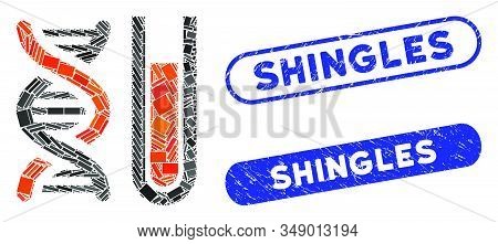 Mosaic Genetic Analysis And Rubber Stamp Seals With Shingles Text. Mosaic Vector Genetic Analysis Is