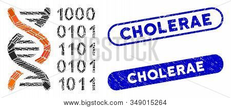 Collage Genetical Code And Corroded Stamp Seals With Cholerae Phrase. Mosaic Vector Genetical Code I