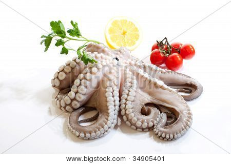 Krake