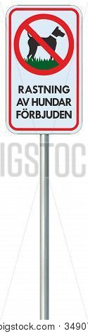 No Dogs Allowed Swedish Se Text Rastning Av Hundar Förbjuden Warning Sign, Isolated Large Detailed B