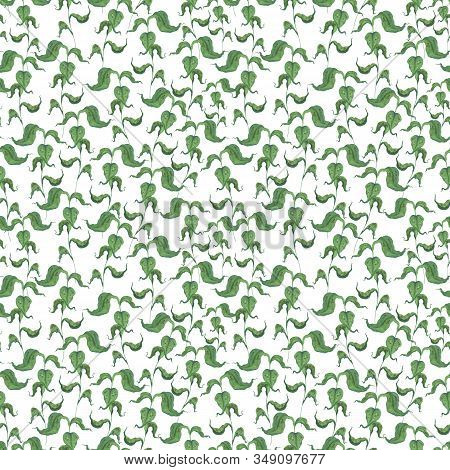 Watercolor Endless Pattern Of Green Herbs. Simple Floral Ornament On A White Background. For The Des