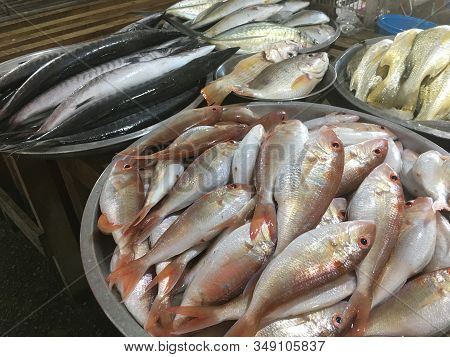 Sea Fish In The Market