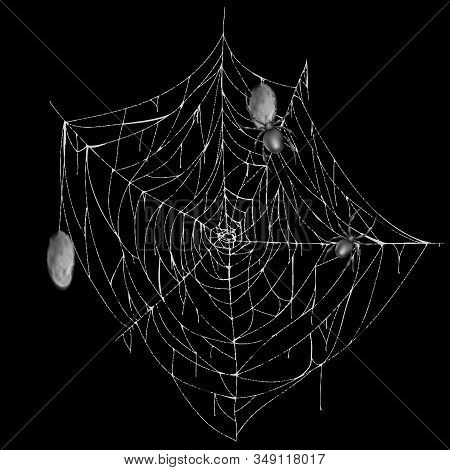 Illustration Of Spiderweb With Creepy Spiders And Cocoons, White Spooky Cobweb Isolated On Black Bac