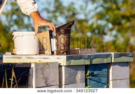 Old Smoker Standing On The Hive. Beekeeping Tool