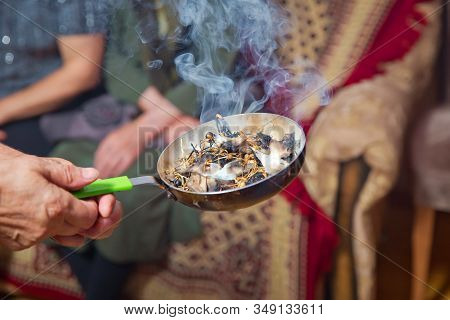 Peganum Harmala. Incense Of Herb Smokes For Good Luck. Magic Plant Uzerlik . Burning Prevents Bad Lo