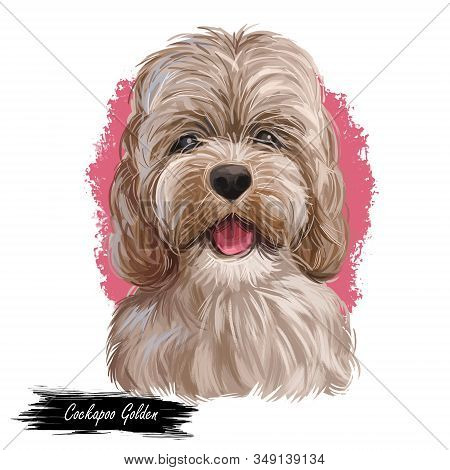 Golden Cockapoo Dog Digital Art Illustration Of Cute Canine Animal. Mixed-breed Dog Cross Between Am