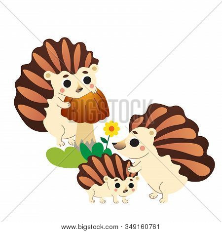 Cute Cartoon Hedgehog Family Vector Image. Male And Female Hedgehogs With Their Young Hedgehog. Fore