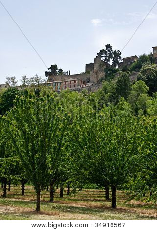 View Of Ménerbes