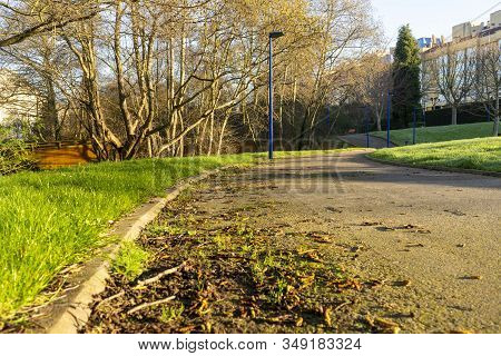 Pathways In The Park To Exercise And Relax
