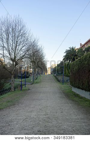 Pathways In The Park To Exercise, Walking And Relax