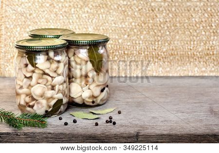 Homemade Preserving. Marinated Suillus Mushrooms In Glass Jars With Metal Lids. Copy Space
