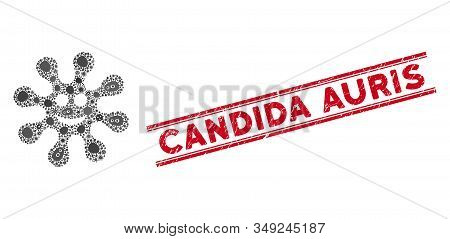 Fever Mosaic Smile Virus Icon And Red Candida Auris Seal Between Double Parallel Lines. Mosaic Vecto