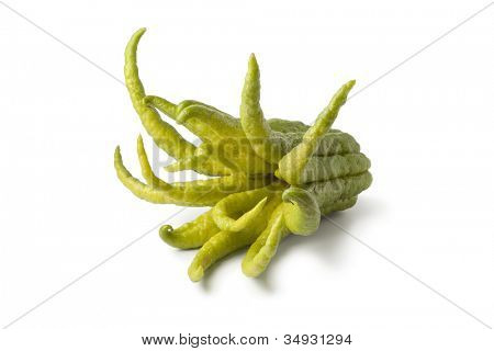  Whole single Buddha's hand fruit on white background