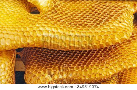 Bee Wax - Bee Frames Of A Bee Hive