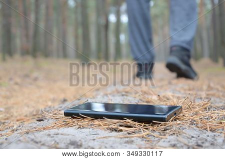 Young Man Loses His Smartphone On Russian Autumn Fir Wood Path. Carelessness And Losing Expensive Mo