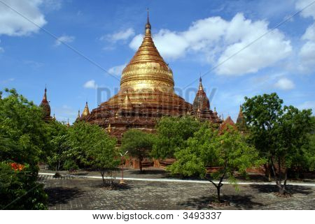 Dhamma Yazika