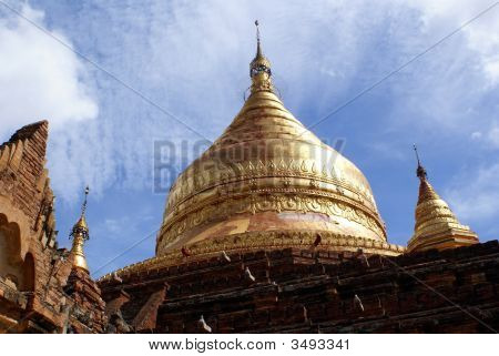 Dorato fatto di Pagoda