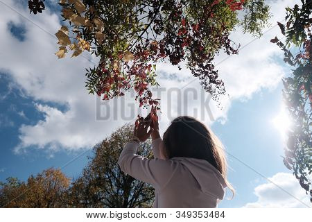 Rear Side View Of A Caucasian Woman Picking The Tree Branch, Under The Shining Sun In The Sky During