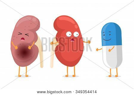 Sad Suffering Sick And Cute Healthy Amazement Kidney With Drug Medicine Pill Characters. Human Anato