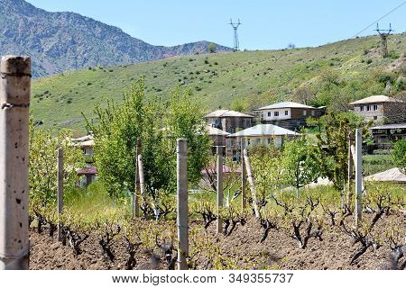 Famous Winery Village Of Areni, In Which Old Winemakers Carefully Preserve Ancient Secrets Of Wine M