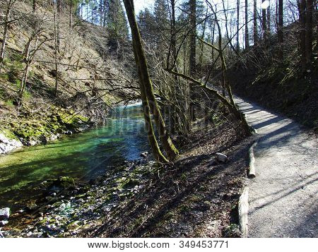 Vintgar Gorge Or Bled Gorge And Radovna River (soteska Vintgar Ali Blejski Vintgar In Reka Radovna) 