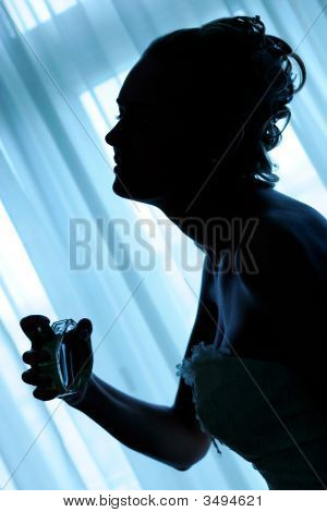 아름 다운 신부의 실루엣