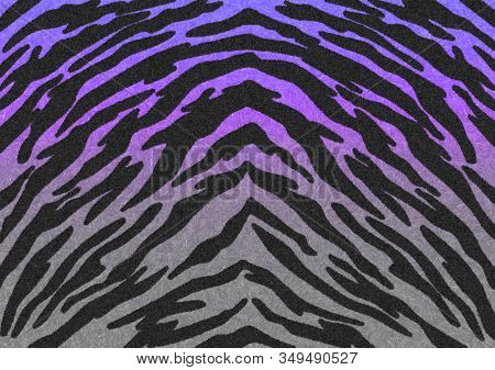 The Black-purple-grey Gradient Tiger Print Camouflage Texture, Carpet Animal Skin Patterns Or Backgr