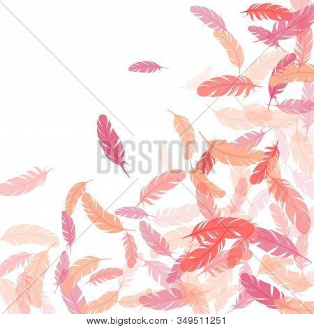 Fashoinable Pink Flamingo Feathers Vector Background. Plumage Bohemian Fashion Shower Decor. Easy Pl