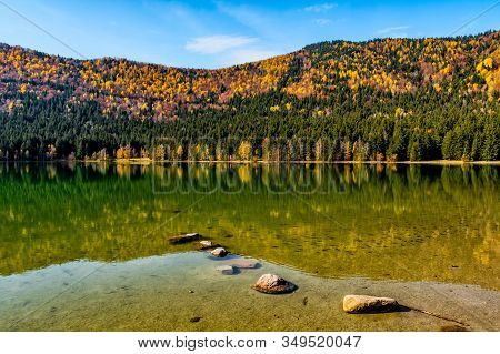 Beautiful Autumn Landscape With Golden Trees And Rocks In The Water, Sfanta Ana Lake, Harghita, Roma