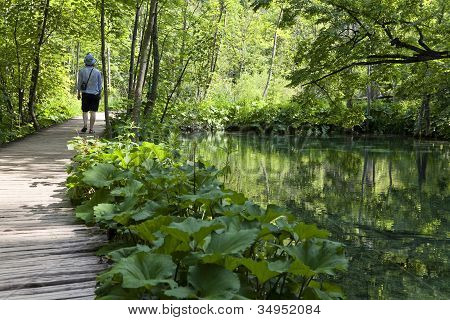 Man Walking At Plitvice Lakes