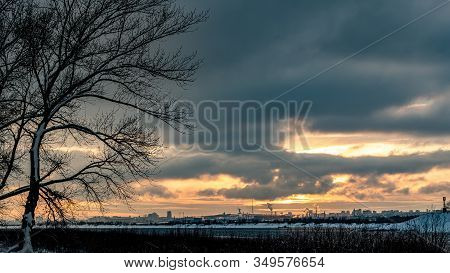 Old Poplar On A Background Of Sunset Over The Volga
