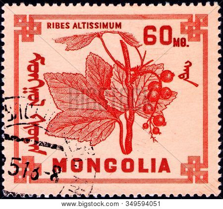 Saint Petersburg, Russia - February 06, 2020: Postage Stamp Issued In Mongolia With The Image Of The