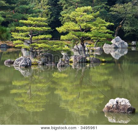 日本水花园