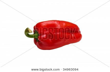 frische Paprika isoliert auf weiÃŸem Hintergrund