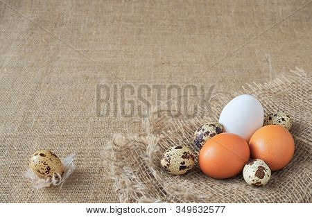 Organic Quail Eggs And Brown And White Chicken Eggs Of Uncooked Freshness Nutrition On Flaxen Brown 