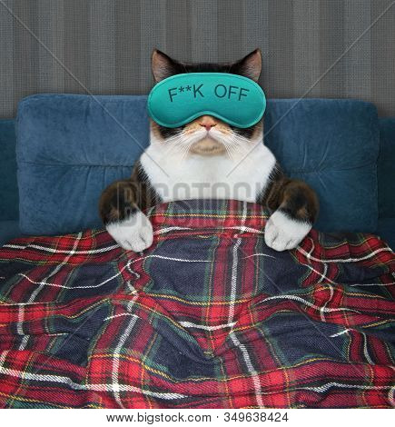 The Multicolored Cat In A Blue Sleep Mask Is Lying Under A Plaid On The Bed At Home.