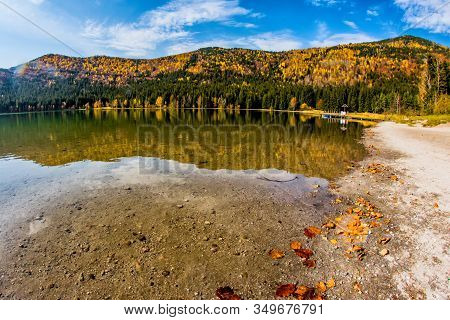 Beautiful Autumn Landscape With Golden And Copper Colored Trees , Sfanta Ana Lake, Harghita, Romania