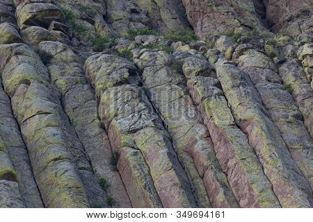 The Spectacular Vertical Rock Columns That Form Devils Tower National Monument In Wyoming Showing Wh