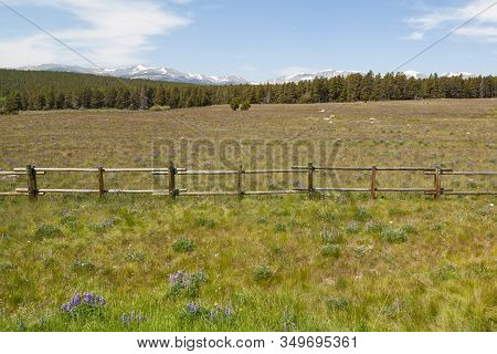 Looking Across A Green Field Dotted With Wildflowers And Past A Wooden Fence To A Thick Forest And T