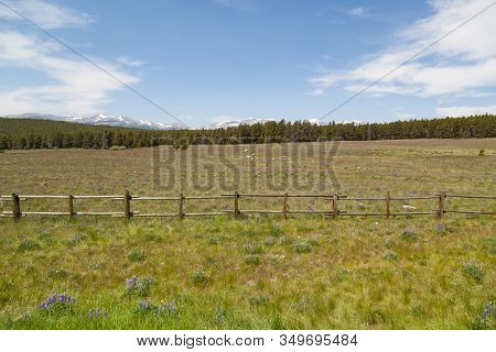 Looking Across A Green Field Dotted With Wildflowers And Past A Wooden Fence To A Thick Forest And T