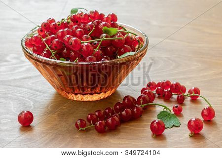 Transparent Bowl Full Of Juicy Red Current Berries On Wooden Table. Freshly Picked Ripe Red Currants