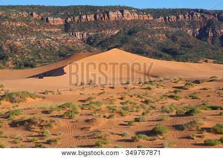 Reserve Coral Pink sand dunes in the U.S.. Excellent fun: skiing on sand dunes at special sports cars.