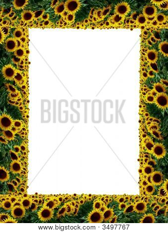 Frame