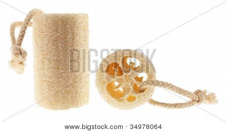 Loofahs
