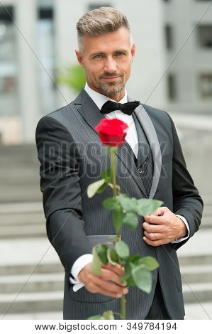 His Look Very Fashion-forward. Groom In Costume And Bow-tie. Man Give You Rose. Reason To Give Red R