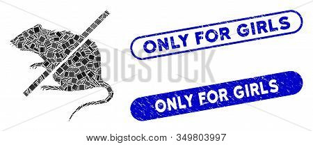 Collage Stop Rats Icon And Red Round Rubber Stamp Seal With Only For Girls Phrase And Coronavirus Sy