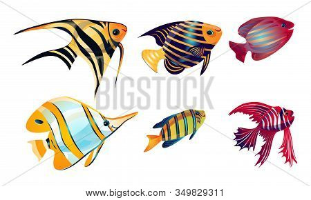 Set Of Various Colorful Coral Reef Fish. Vector Illustration In The Flat Cartoon Style